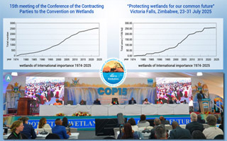 Progresses and Challenges in Global Wetlands Conservation and Restoration: Insights from Ramsar COP15